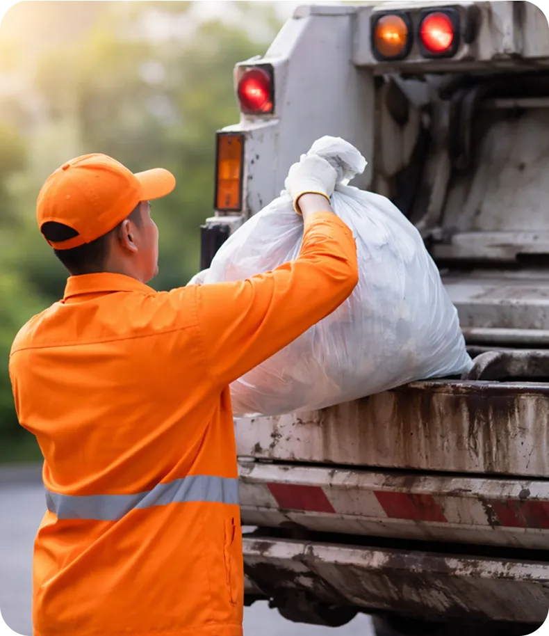 Cleaning Service Professional